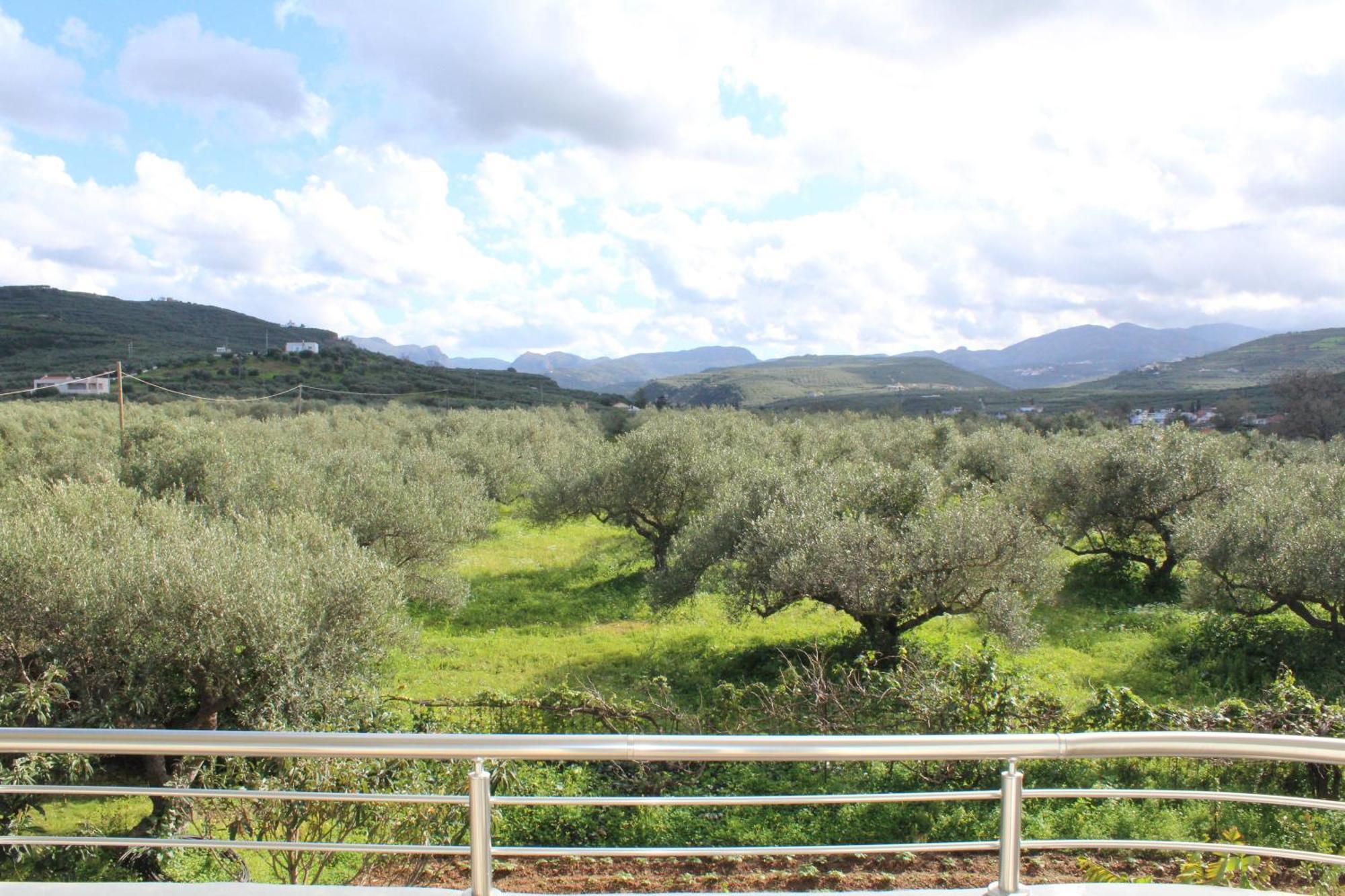 Village Drapanias Apartments Kíssamos Dış mekan fotoğraf